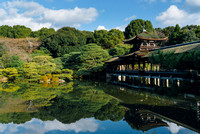 Kyoto - Heien Jingu Gardens