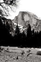 Yosemite National Park - Half Dome B&W