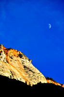 Moon Over Zion - Portrait